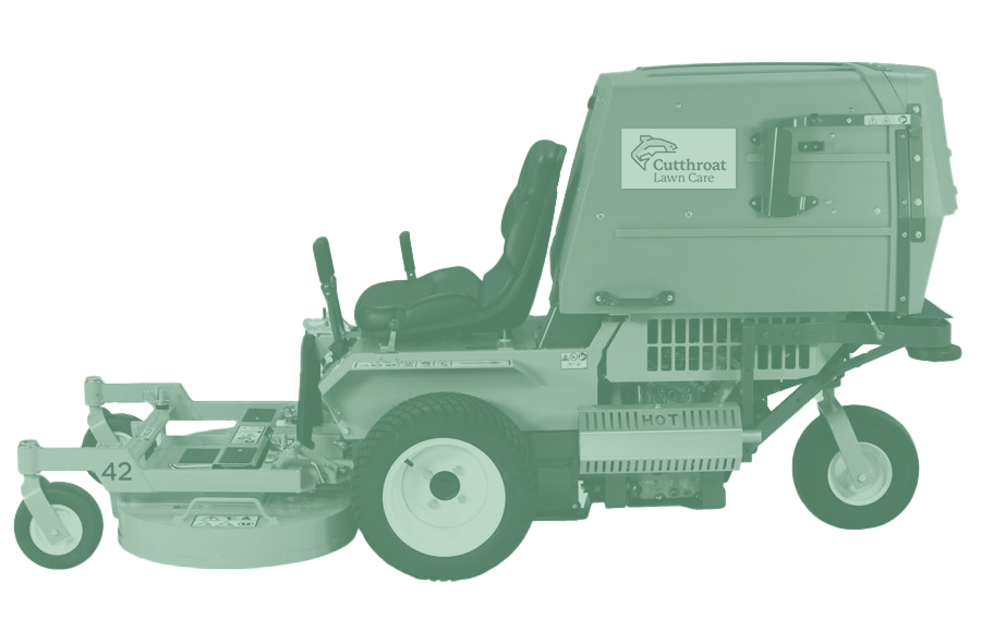Walker Mower